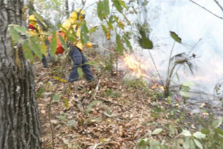 Captura de pantalla 2016-04-12 a las 9.50.58