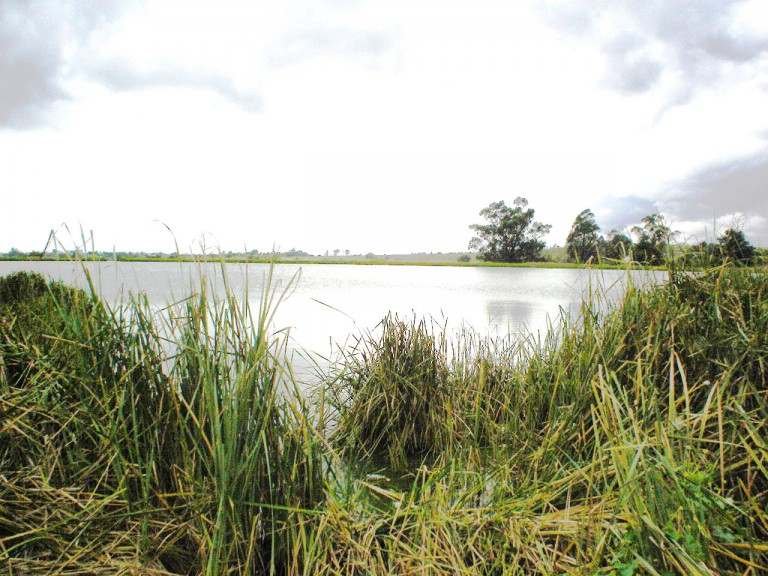 24 Septiembre 2006. Los bordo de Amealco ya estn casi a su mxima capacidad.