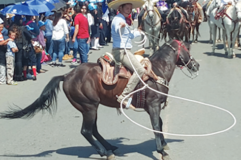 Feria de SJR. Foto: Especial