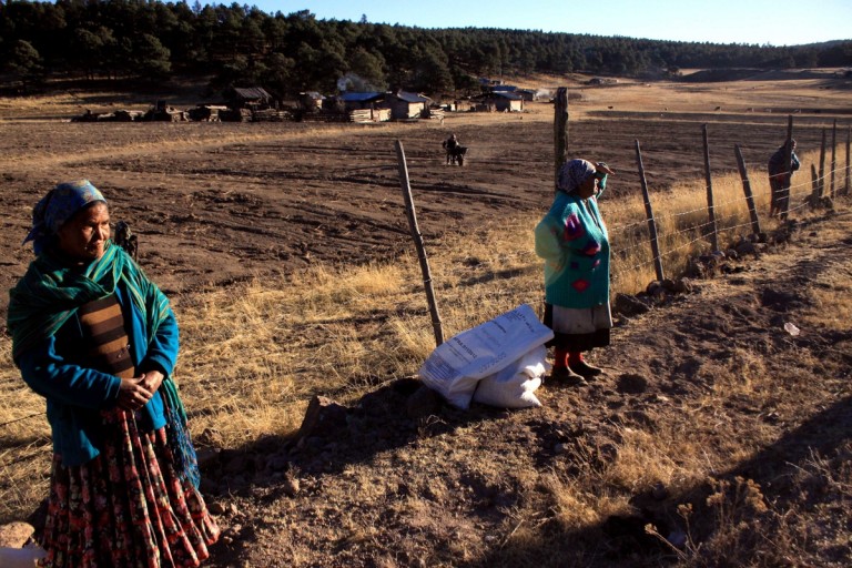Día Internacional de la lengua Materna.