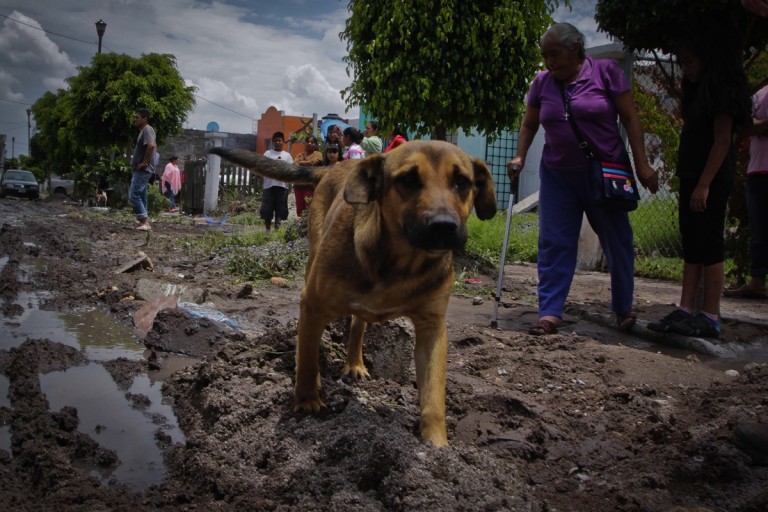 Loyola recorre zonas afectadas_VP_26