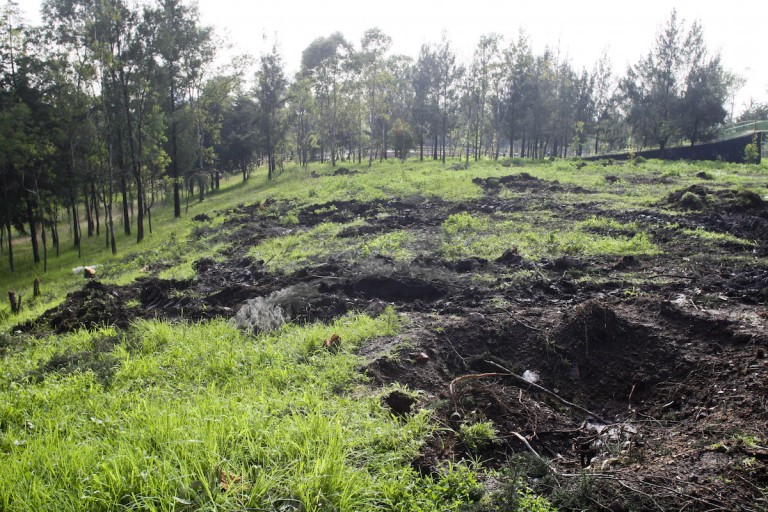 impacto_ambiental_profepa Foto: Cuartoscuro