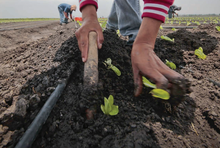 Beneficiarán a 25 comunidades con PESA. Foto: Especial