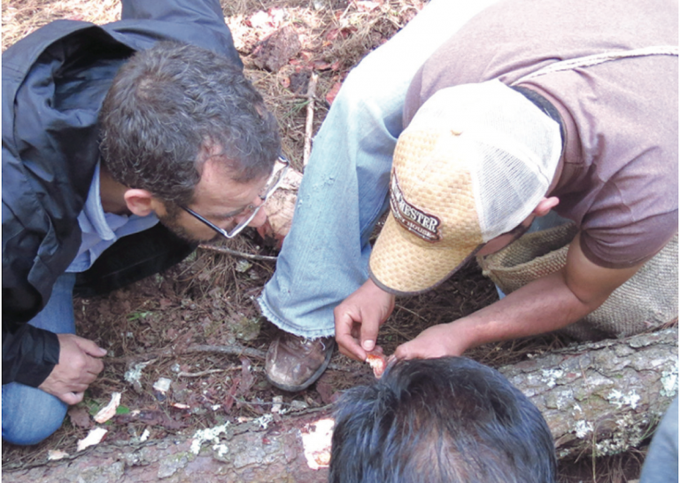 Brigadas rurales se encargaran de las tareas de sanidad. Foto: Especial