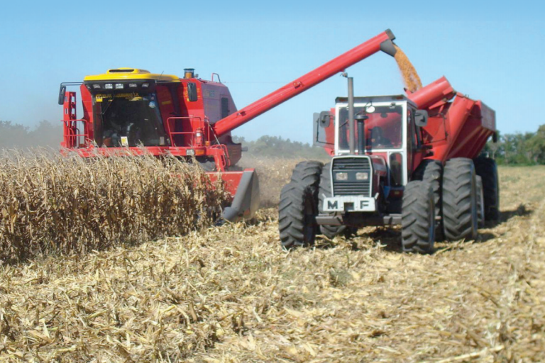 El 80 por ciento de la producción se destina al autoconsumo. Foto: Especial