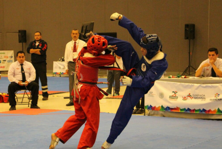 El evento se realizó en el Querétaro Centro de Congresos. Foto: Especial