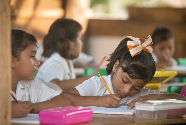 El nuevo modelo educativo será evaluado y consultado en las entidades. Foto: Especial