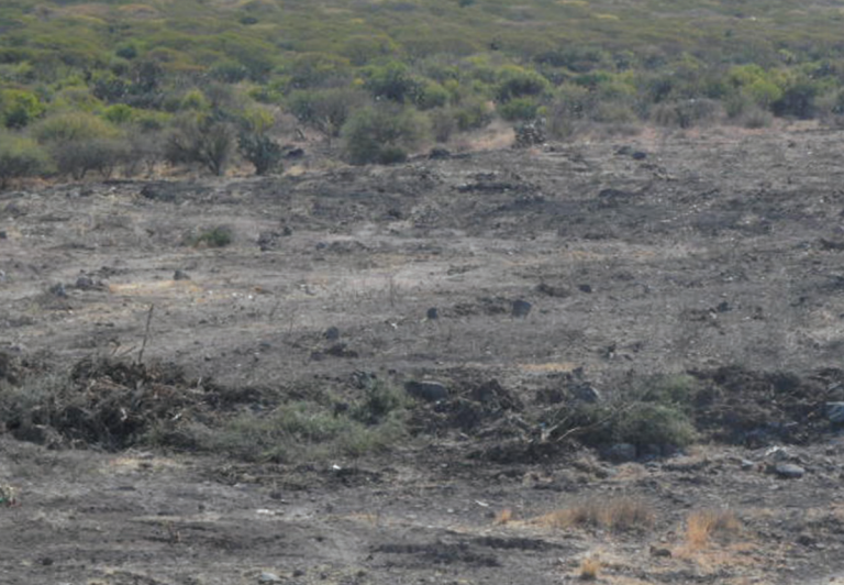 Identifican a los responsables del daño en Peña Colorada. Foto: Especial