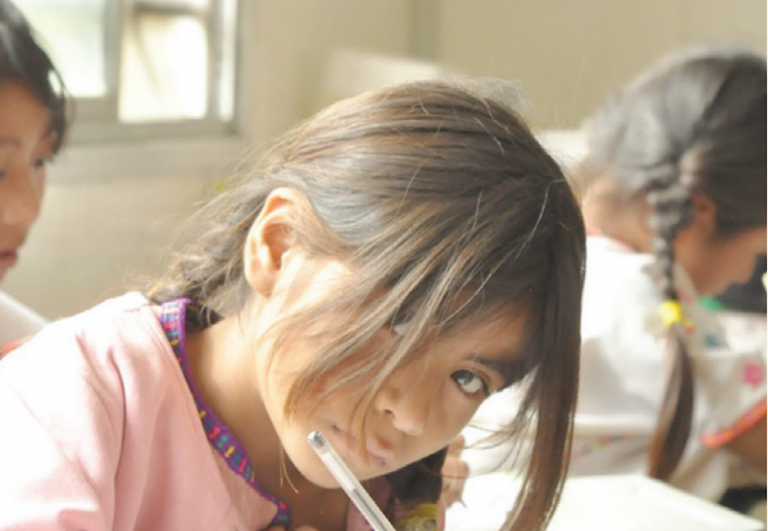 La diputada buscará echar abajo la Reforma Educativa. Foto: Especial