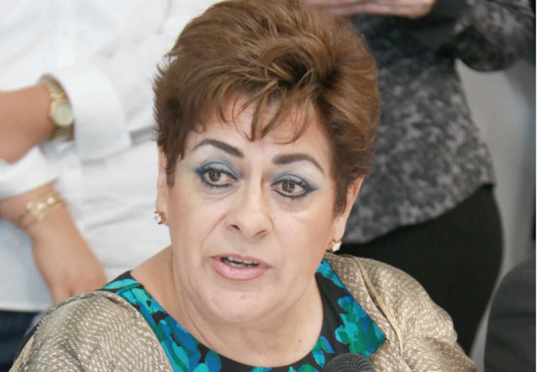 La iniciativa de Lety Mercado fiue aprobada en comisiones. Foto: Especial