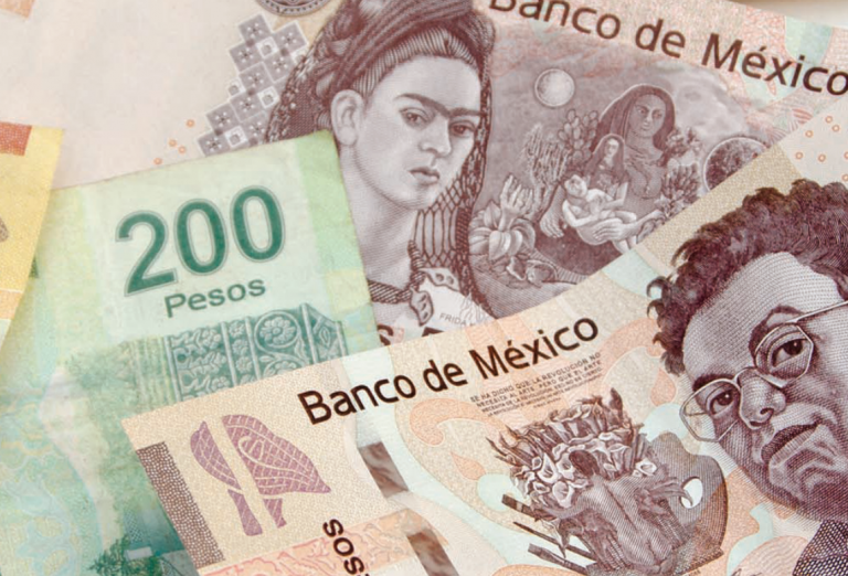 Prevén disminución de recursos para 2017. Foto: Especial