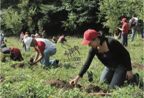 Se hará un plan de reforestación de áreas verdes. Foto: Especial