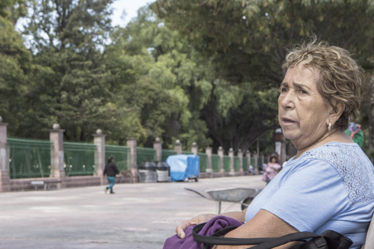 Se descarta jardín acuático. Foto: Especial