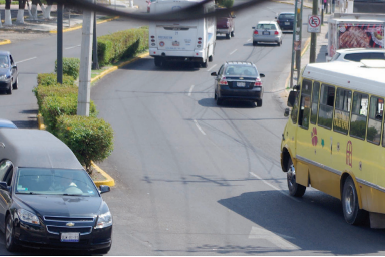 Se llevarán una serie de encuestas a la población para decidir. Foto: Especial