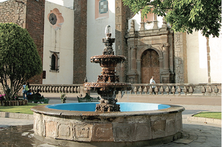 Buscarán realizar campañas en otras entidades. Foto: Especial