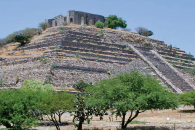 Destacan la importancia de conocer la historia. Foto: Especial