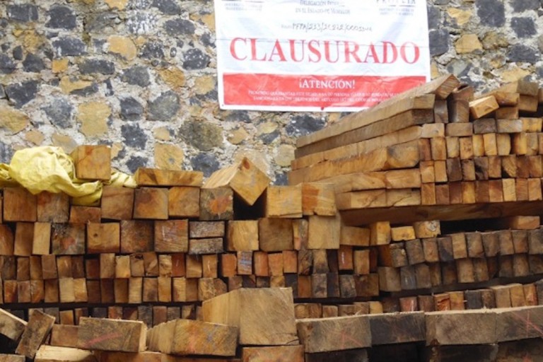profepa_clausura_madera Foto: Profepa