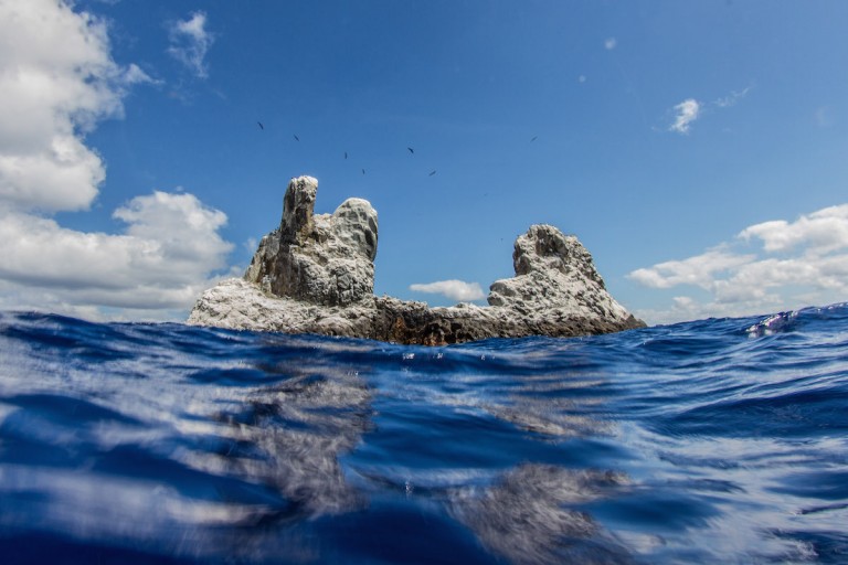 unesco_patrimonio_revillagigedo Foto: Cuartoscuro