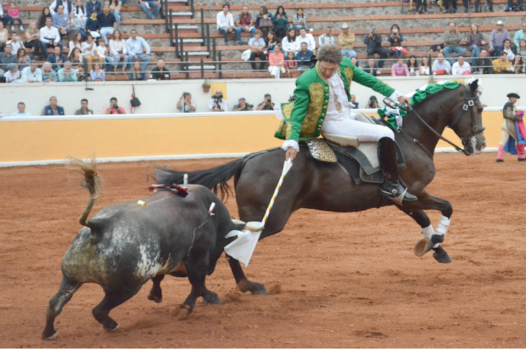 Anuncia su retiro después de su magnífico ruedo. Foto: Especial
