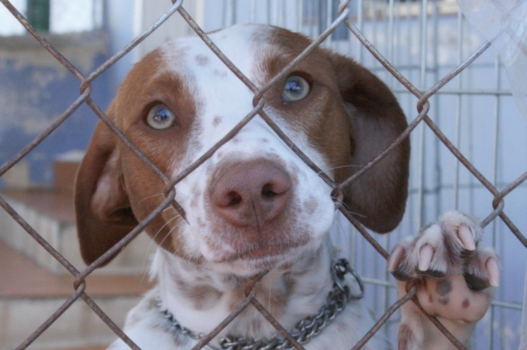 Buscan consolidar objetivos prioritarios de esta ley. Foto: Especial