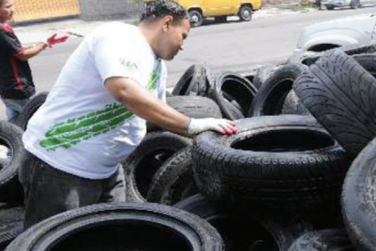 Continuan con la recolección de poda y tiliches. Foto: Especial