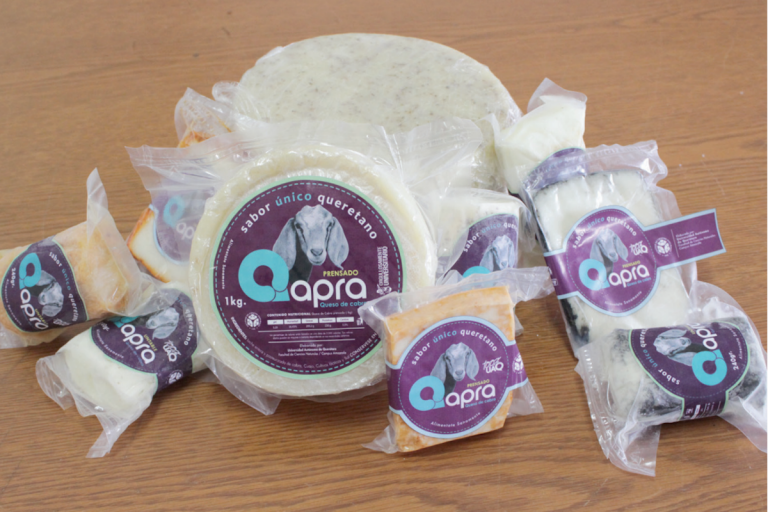 El certificado implica un reconocimiento de varios estándares internacionales. Foto: Especial