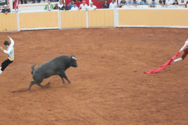 Los recortadores fueron colmados de aplausos. Foto: Especial