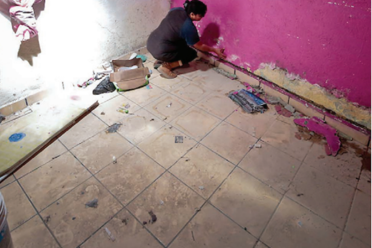 Piden esperar informes completos del diagnóstico. Foto: Especial