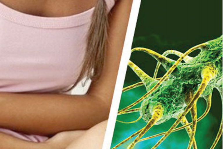 Preocupan casos de salmonelosís en el estado. Foto: Especial