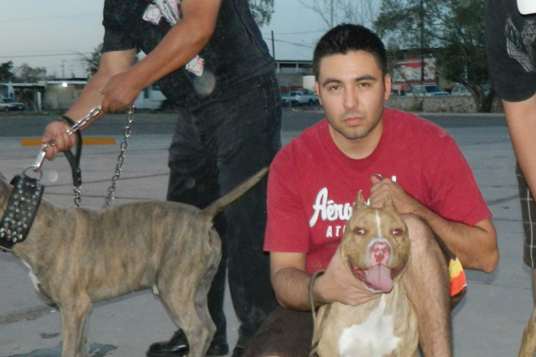 Preocupan peleas de perros en el estado. Foto: Especial