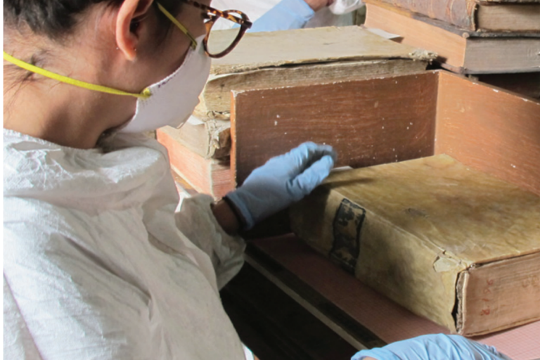 Proceden a la evaluación y conservación de materiales. Foto: Especial