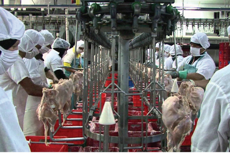 Se evacuaron a 250 personas