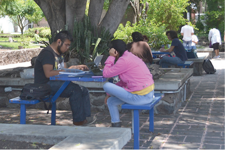 Se podría reportar cualquier incidente desde teléfono móvil. Foto: Especial