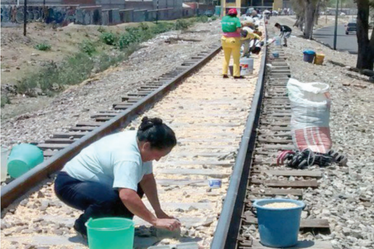 También aumentó la venta de granos extraídos Foto: Especial