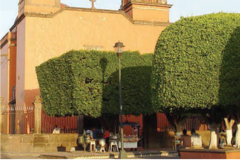 Tiene que ser Contraloría quien indique la acción. Foto: Especial