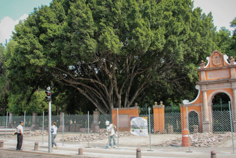 Asegura que no ocultan información de la Alameda. Foto: Especial