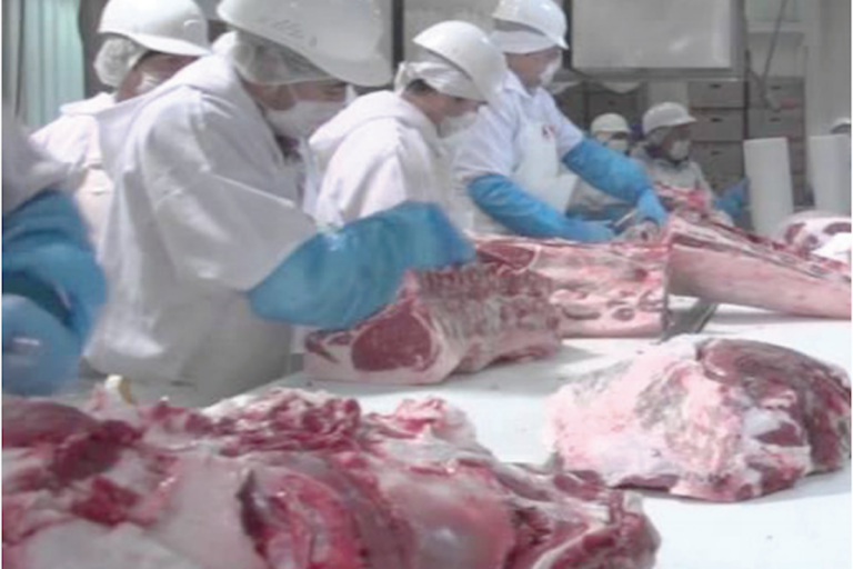 Buscan recursos para construcción de rastro. Foto: Especial