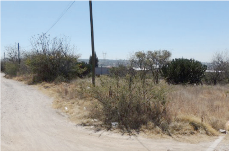 Buscarán advertir para atender este asunto. Foto: Especial