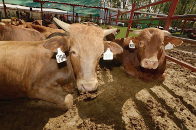 Captura de pantalla 2016-09-30 a las 5.04.22