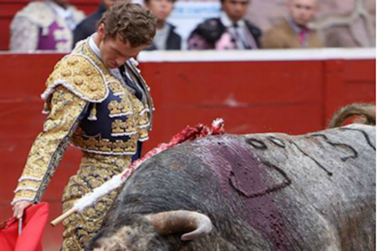 Destaca actuación del mexicano. Foto: Especial