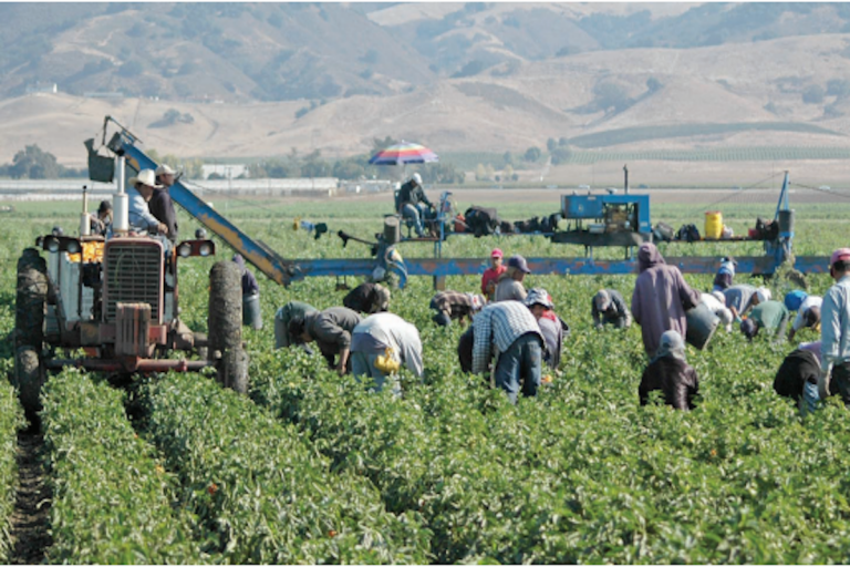 Es necesario garantizar el abasto. Foto: Especial