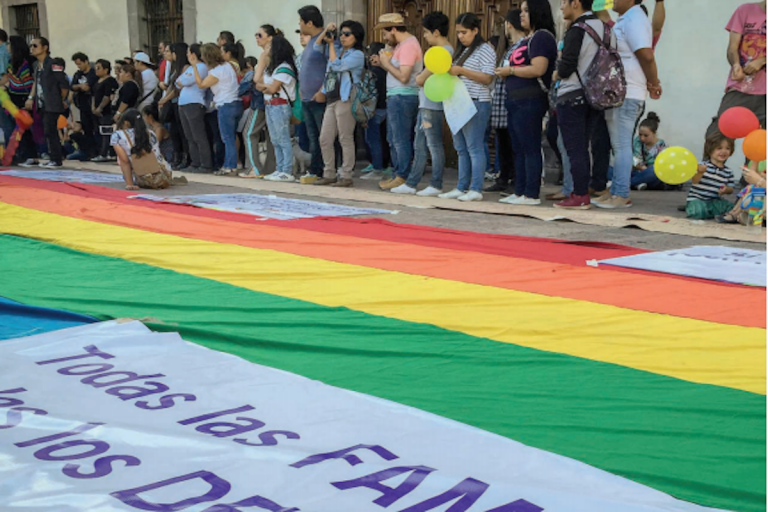 Exigirán sanción a diputados que participaron en marcha por la familia. Foto: Especial