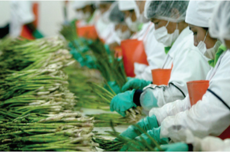 Generan empleos para Corregidora. Foto: Especial