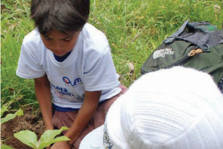 Inician proyecto de reforestación. Foto: Especial