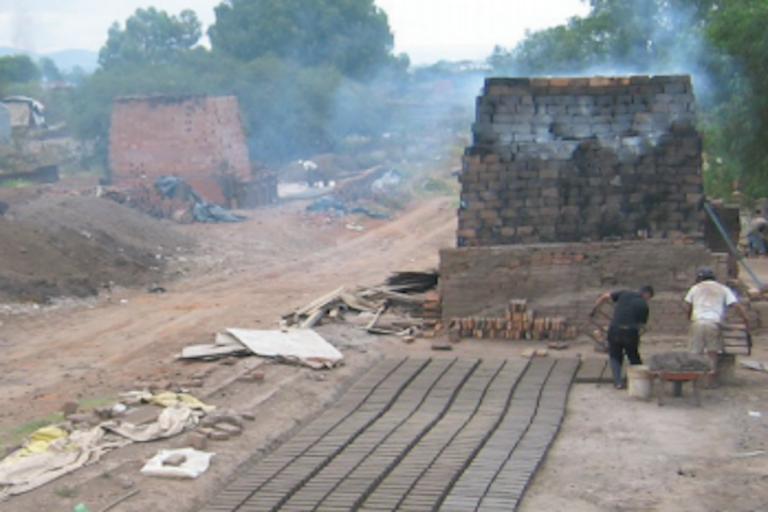 Llaman a diputados a proteger el medio ambiente. Foto: Especial
