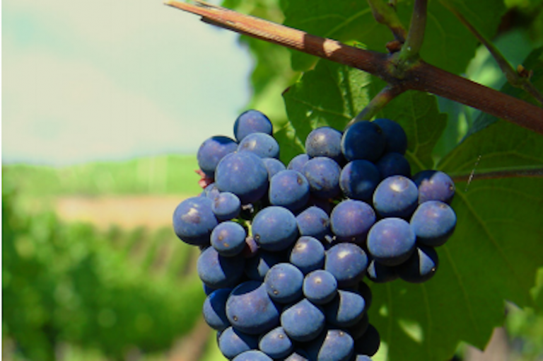 Presentarán el proyecto en noviembre. Foto: Especial