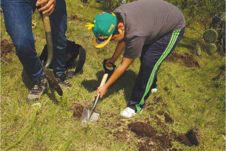 Se introdujeron especies de clima templado fío. Foto: Especial