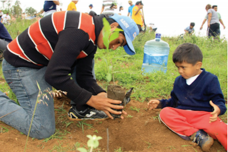 Se pronuncia PRD a favor de la cultura y la naturaleza. Foto: Especial