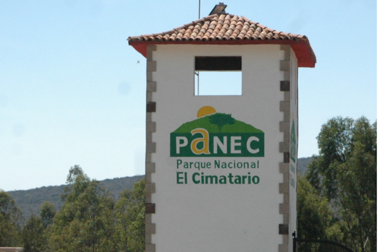 Tonatiuh cervantes indica que hay una modificación de funciones en SEDEA. Foto: Especial