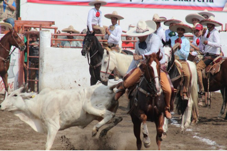 50 jóvenes ya esperan el inicio de clases. Foto: Especial